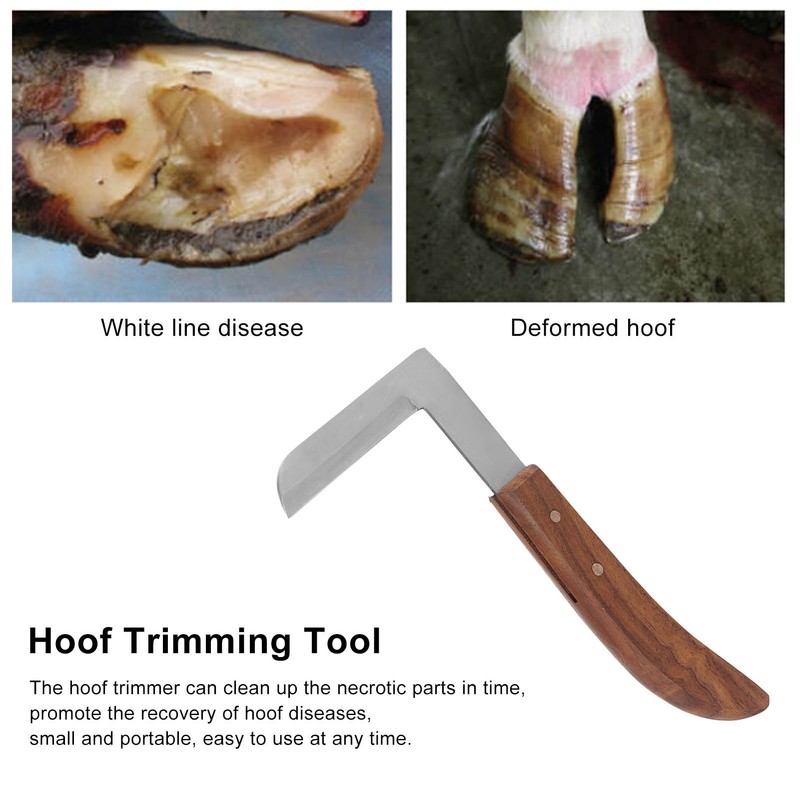 Steel Hoof Knife L Shaped Ergonomic Curved Handle Hoof Trimming