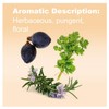 Doterra Zendocrine - Detoxification Oil Blend 15ml by doTERRA