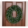 Wicker Park 24" Indoor/Outdoor Boxwood Wreath:_Green