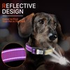 ilFindYou Reflective Dog Collars for Medium Dogs Soft Nylon Purple-Yellow
