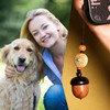 Pet Dog Urn Keychain for Ashes with Storage Bag Small