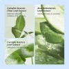 Set Quiyum Cuidado Cutis Hidratación Brillo, 5 Unidades . ,,