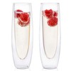 Faubourg Double Wall Champagne Glasses