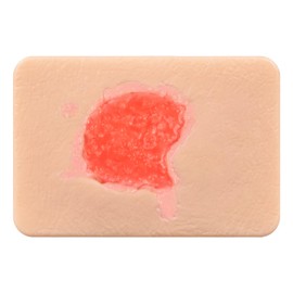 MedEduQuest Wound Packing Trainer, Healthy Granulation Wound Simulation Models for Medical Education, Wound Care Demonstrations Tool
