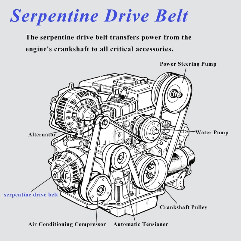 AUCERAMIC Engine Serpentine Drive Belt Fit 2010-2011 for Honda CR-V