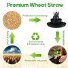 Pinkunn 64 Pcs Wheat Straw Dinnerware Sets with Stainless Steel