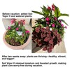 Soil Vigor® Fine Granules – Water-Storing Crystals for Strong Plant