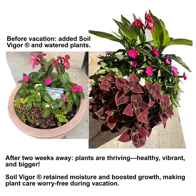 Soil Vigor® Fine Granules – Water-Storing Crystals for Strong Plant