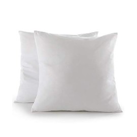 Cheer Collection Set of 2 Decorative White 24" x 24" Square Accent Throw Pillows and Insert for Couch Sofa Bed, Includes Zippered Cover
