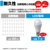 ELPA LDA2D-G-E17-G4101 LED Bulb Mini Krypton Shape E17 Indoor Use