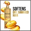 Pantene, Argan Oil Shampoo, Sulfate Free, Pro-V Gold Series, for