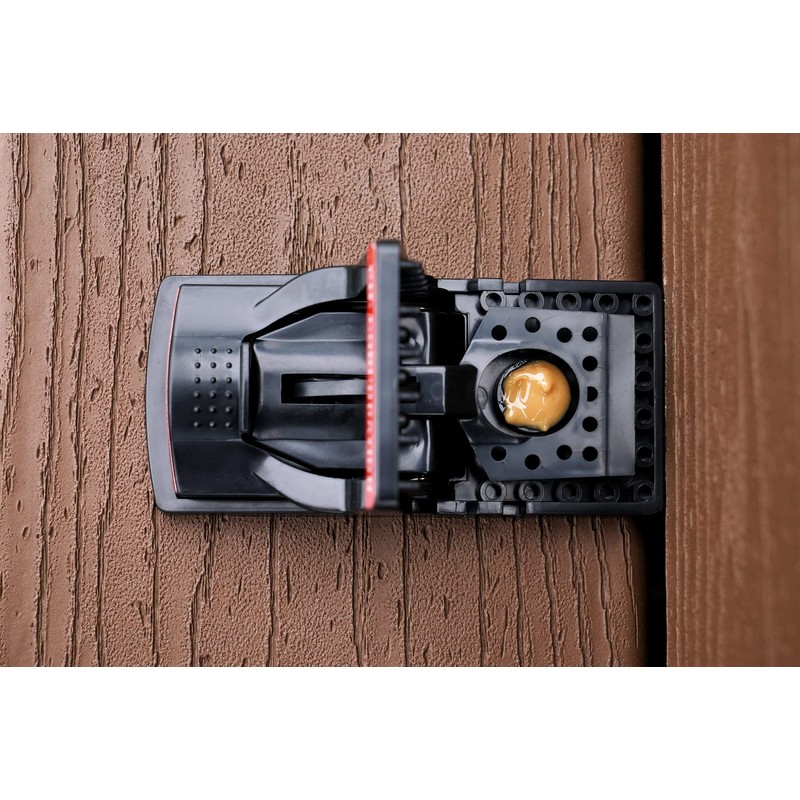 PIC Plastic Mouse Snap Trap Parent (6 Traps)