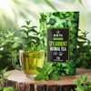 BLUE TEA - Spearmint Tea - 10 Count - Plant