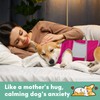 Dog Anxiety Shirt with Hood, Thunder Vest Noise-Reducing, Skin-Friendly Relief
