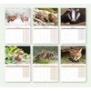 2026 A4 British Wildlife Calendar UK. One Month to View.