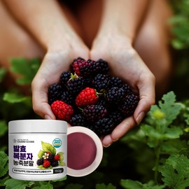 Gochang Bokbunja Powder Fermented Concentrate Powder 150g 3 cans / Contains anthocyanin polyphenol lactic acid bacteria / 고창 복분자 분말 발효 농축액 가루 150g 3통 / 안토시아닌 폴리페놀 유산균 함유