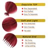 Generic Extensiones de cabello Afro Twist, preseparadas, elásticas y elásticas