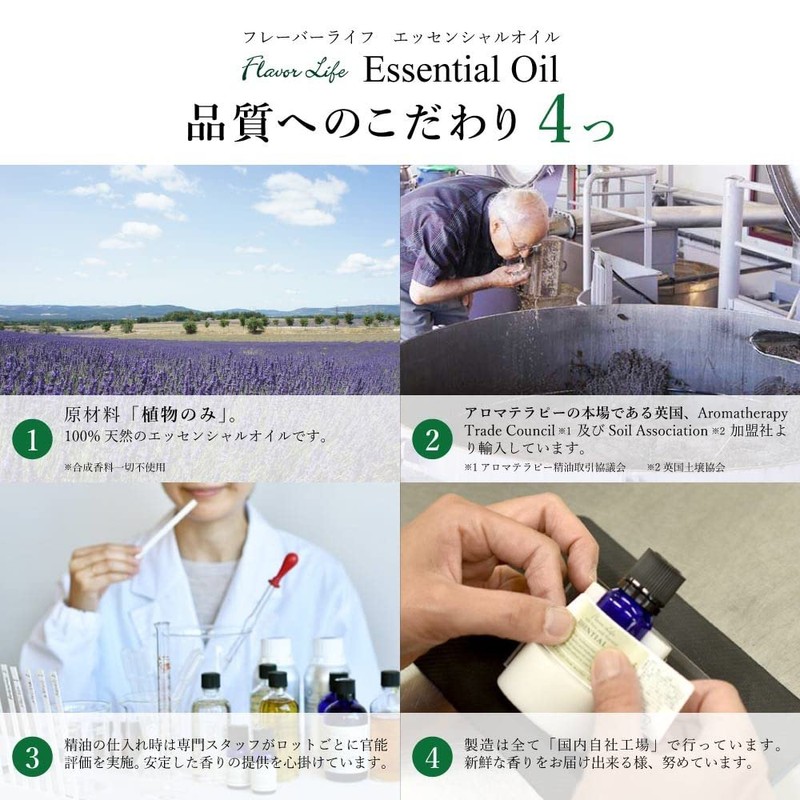 Flavor Life Essential Oil Lavender France, 0.3 fl oz (10