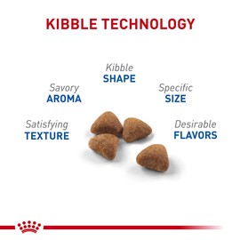 Royal Canin Royal Canin Feline Health Nutrition Indoor Adult Dry Cat Food, 7-Pound