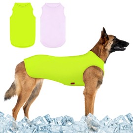 Kickred 2 Pack Dog Shirts, Ice Pet Vest Dog Clothes for Instant Cooling, Lightweight Breathable Sleeveless T-Shirts for Medium Large Dogs, Light Purple+Fluorescent Green (L)