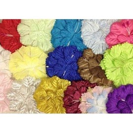 Capia Flowers Flat Carnation Capia Base for Corsages Bulk Wholesale 144 Pieces 20+ Colors Available (Mint)