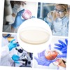 Mobestech 10pcs Nutrient Agar Petri Dish Plates Sterile Agar Medium