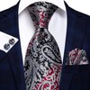 Hi-Tie Lot 5 Pcs Gift Box Mens Tie Set Necktie