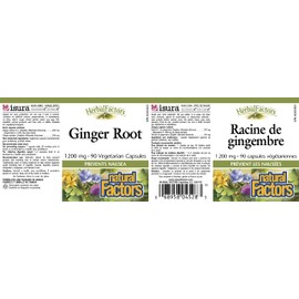 GINGER ROOT STANDARDIZED EXTRA