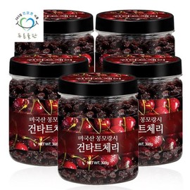 PureunDeulpan 푸른들판 몽모랑시 건타트체리 300gx5통 Blue Field Montmorency Tart Cherry 300g x 5 Cans