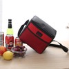Nanxson 5L Lunch Bag Leakproof Thermal Cooler Lunch Box Adult