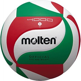 Molten V5M4000 Volleyball No. 5 Practice Ball Model
