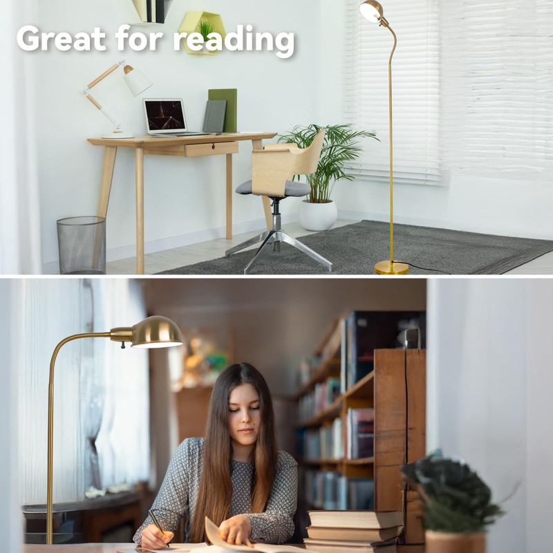 LALISU Dimmable Floor Lamp with Flexible Gooseneck and Rotatable Shade,