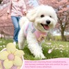 Dog Harness with Leash Set, Breathable Adjustable Dog & Cat