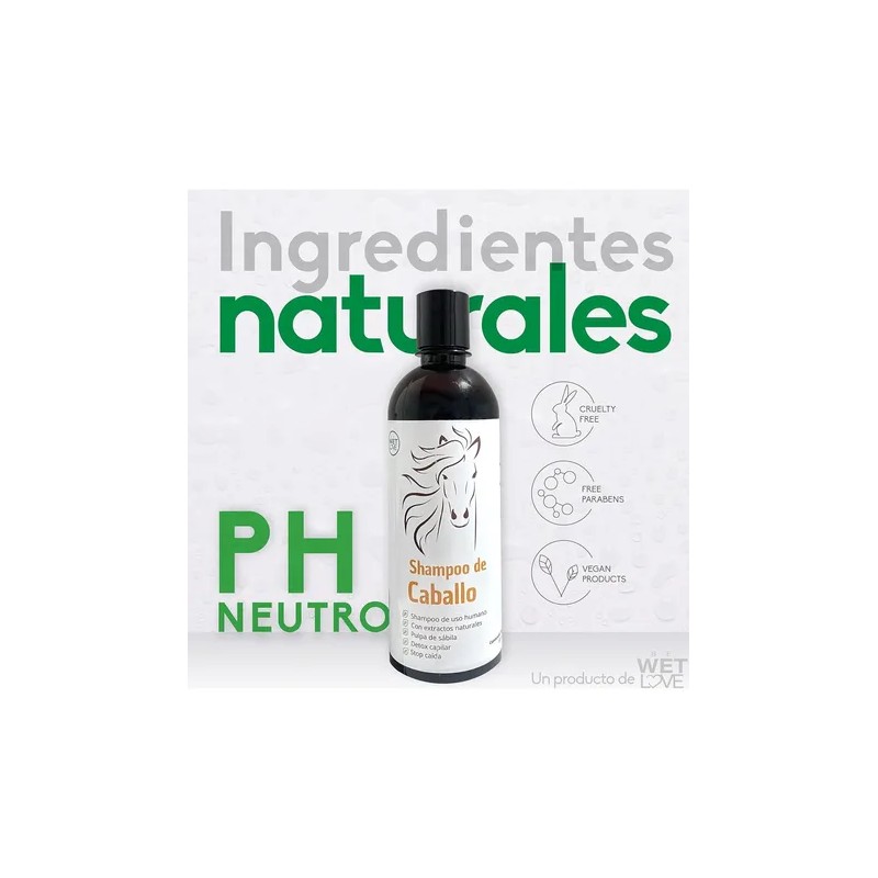 Shampoo De Romero Shampoo Anticaída De Sabila Y Jojoba