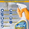MiracleMist Instant Cleaner for Indoor and Outdoor Use, 32 oz