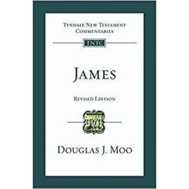 James: An Introduction and Commentary: Tyndale New Testament Commentary (Tyndale New Testament Commentaries)