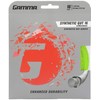 GAMMA Sports 16g Synthetic Gut with Wearguard Tennis String Set,