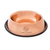 Copper Pet Water Bowl for Dogs or Cats I Non-Skid