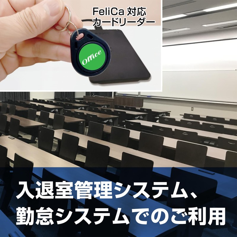 Dennett FeliCa IC Keychain, Set of 10, Ferrica Lite-S
