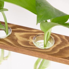Wall Terrarium Propagation Station for Hydroponic Plants - 3-Tier Hanging Test Tube Vase with 7 Test Tubes, 3 Non-Marking Nails (Dark Wood Colour)