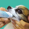 Taurus Domestic Dog Toothpaste Gel, 1.0 fl oz (30 ml)