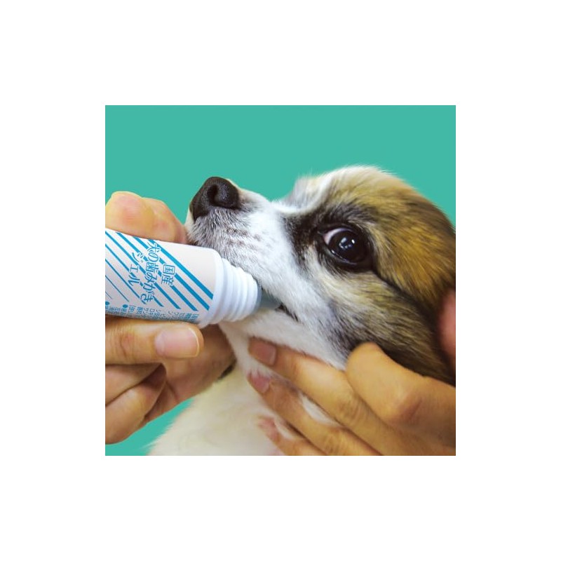 Taurus Domestic Dog Toothpaste Gel, 1.0 fl oz (30 ml)