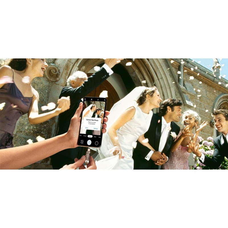 SanDisk 256GB Ultra Dual Drive Luxe USB Type-C to SDDDC4-256G-G46