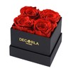 DEC RLA HOME Decor Preserved Rose in a Box Forever
