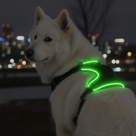 Light Up Dog Harness for Medium/Large Dogs