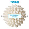 Tumbler Home Real White Seashell Sphere - 3 Inches Wide