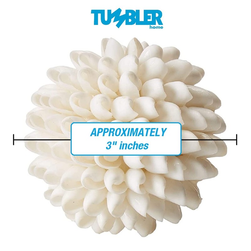 Tumbler Home Real White Seashell Sphere - 3 Inches Wide