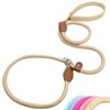 Wagoo Slip Lead, Easy to Wear, Training, Casual, Small, Medium,