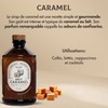 Bacanha Organic Brut Caramel Syrup - Premium French Artisanal Syrup