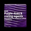 L'Oréal Professionnel L'Oreal Professionnel Color Spectrum Purple Shampoo and Conditioner
